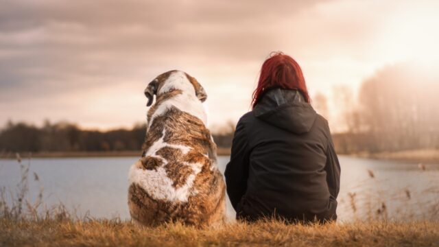 人付き合いがめんどくさい 一人でいたいけどいられない貴方へアドバイス フレンノート